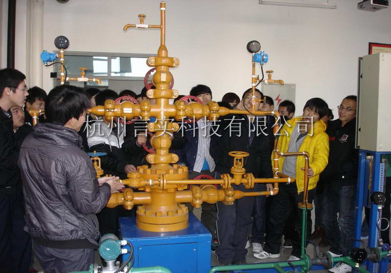 乐成案例 凤凰联盟