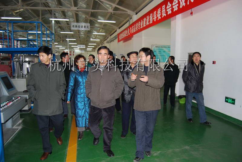  乐成案例 凤凰联盟